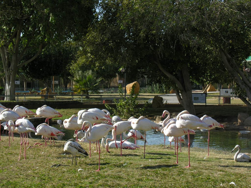 حديقة الحيوان بالملز Mapio Net