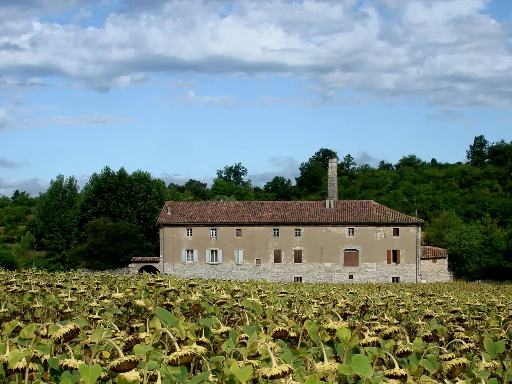 La casa nel campo - Barjac  ( Gard, Languedoc-Roussilon - France )