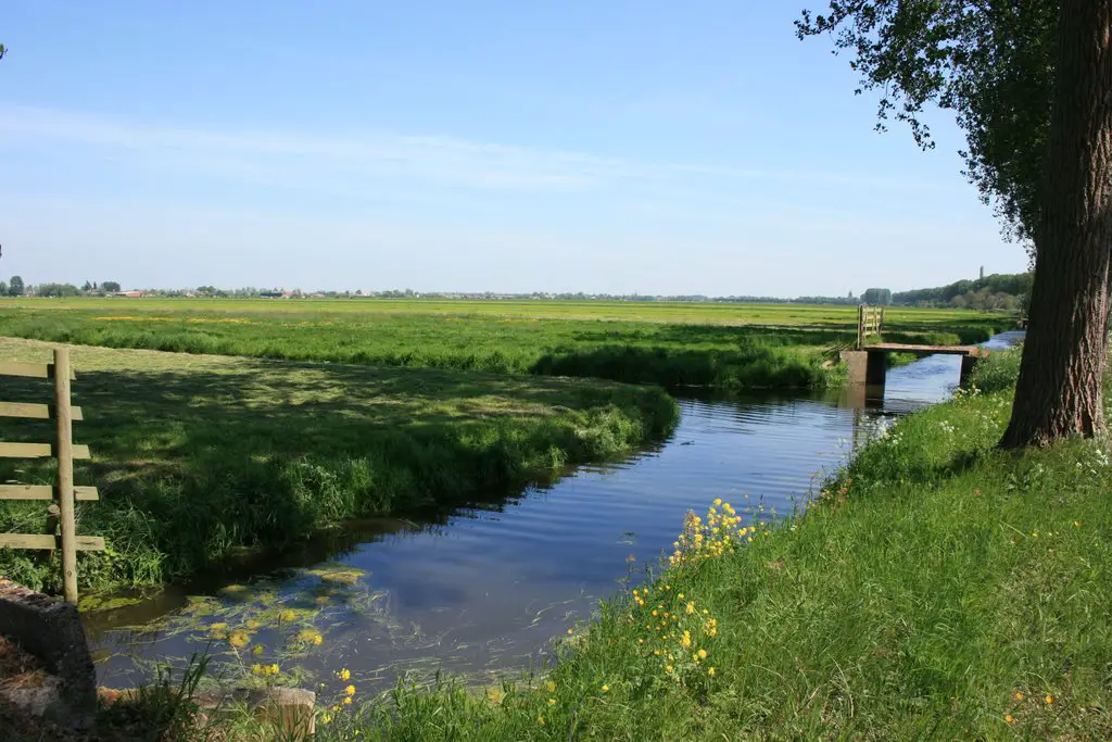Dutch Landscape near Gouda