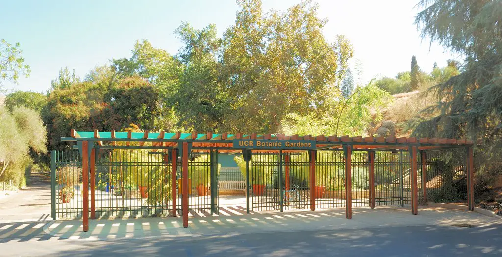 The Entrance To Ucr Botanic Gardens Riverside Ca Mapio Net