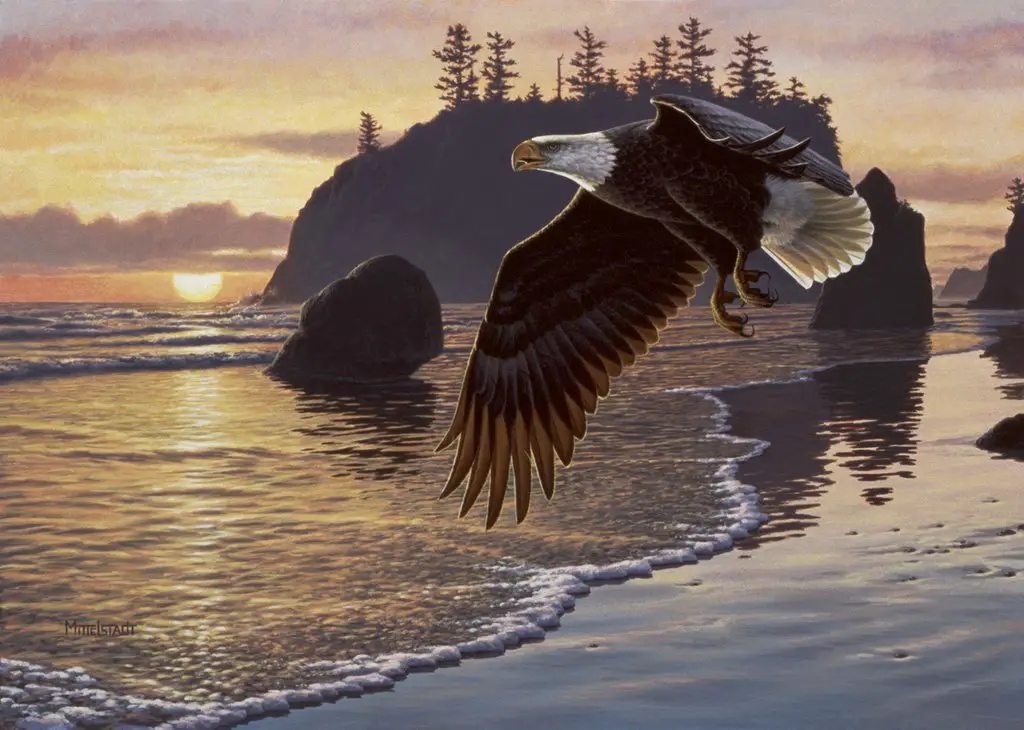 "Ruby Beach Eagle" a painting by Frank Mittelstadt