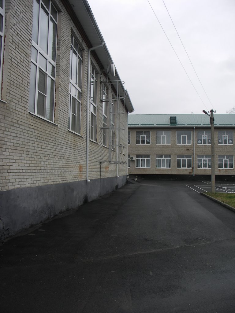 Двор Школы Фото