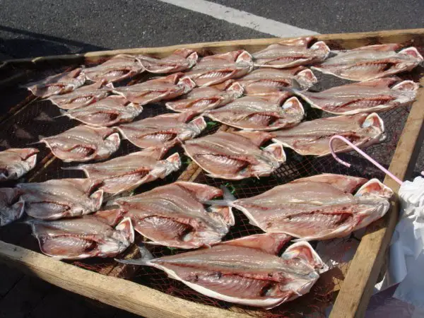 Dried mackerels