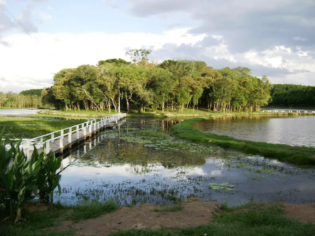 Mini Pantanal - Bocaina do Sul, SC
