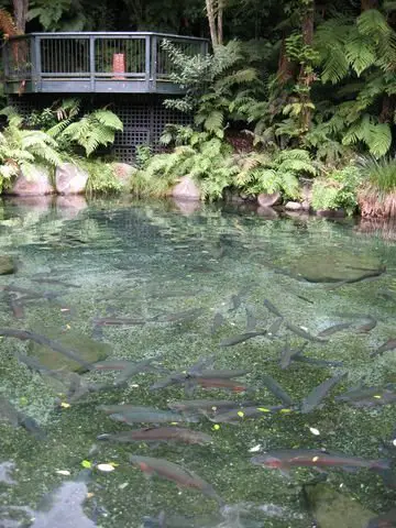 Rainbow Springs Nature Park, Rotorua