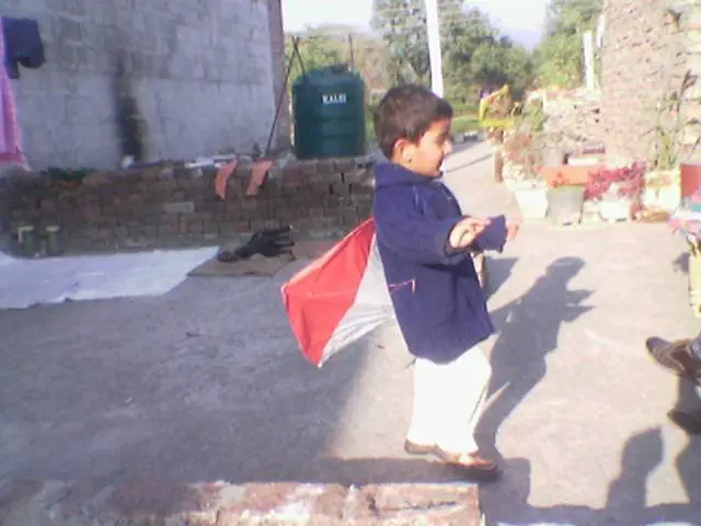 Indian entertainment kite flying