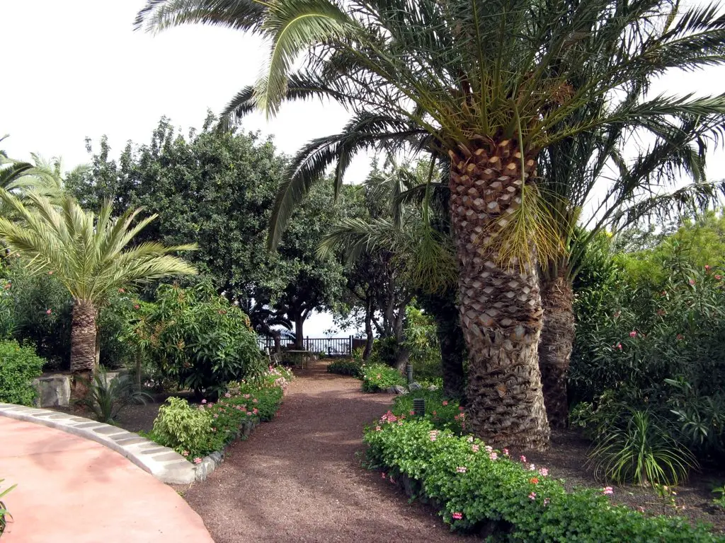 El jardín botánico en PARADOR DE TURISMO COLOMBINO CONDE DE LA GOMERA
