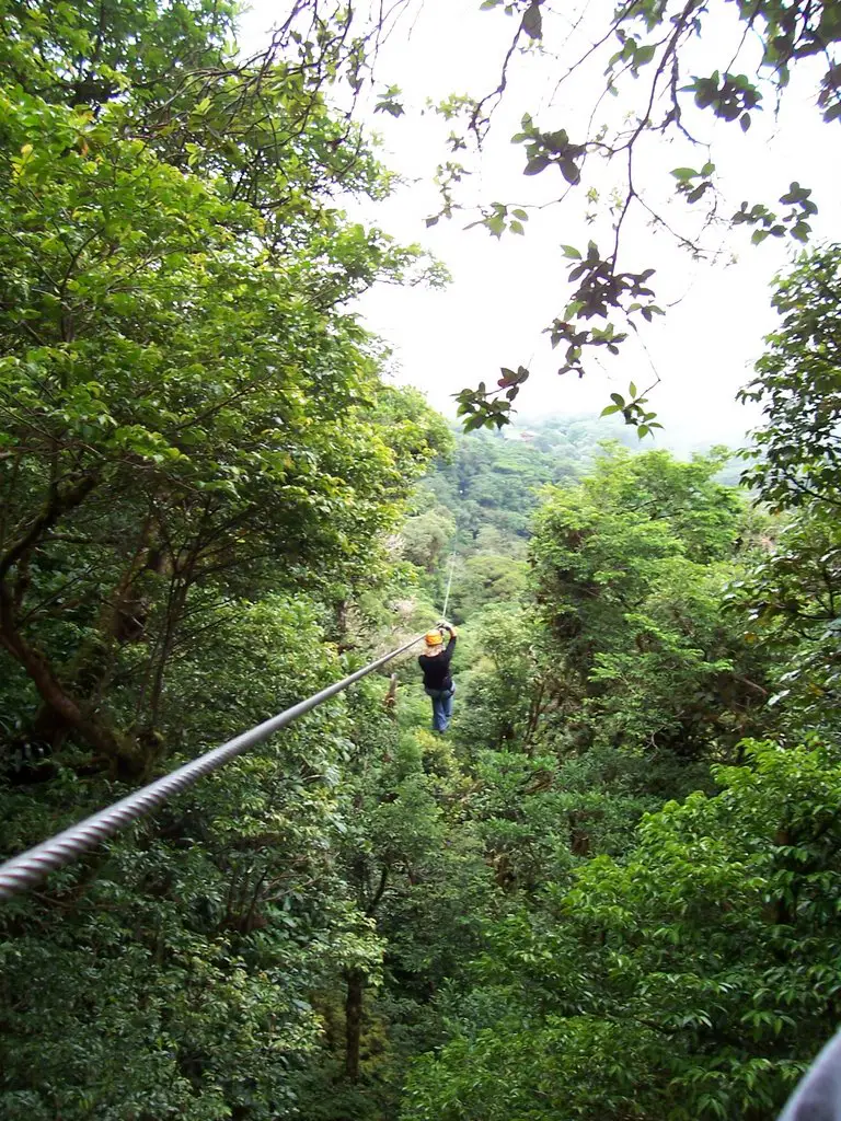 Canopy Tour near Monteverde