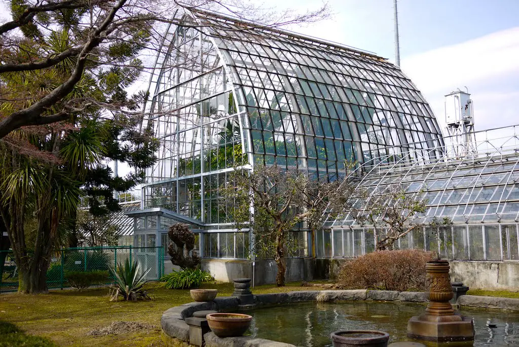 Glasshouse 小石川植物園 温室 Mapio Net