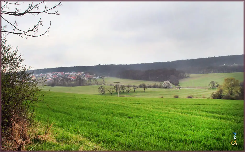Blickrichtung Märchensiedlung - Willrodaer Forst