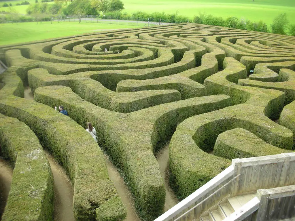 Amazing maze nz