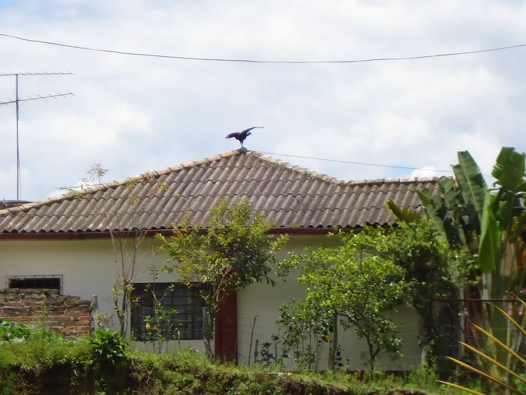 Casa Familia Ortiz Cárdenas
