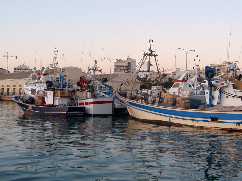 Puerto pesquero Torrevieja | Mapio.net