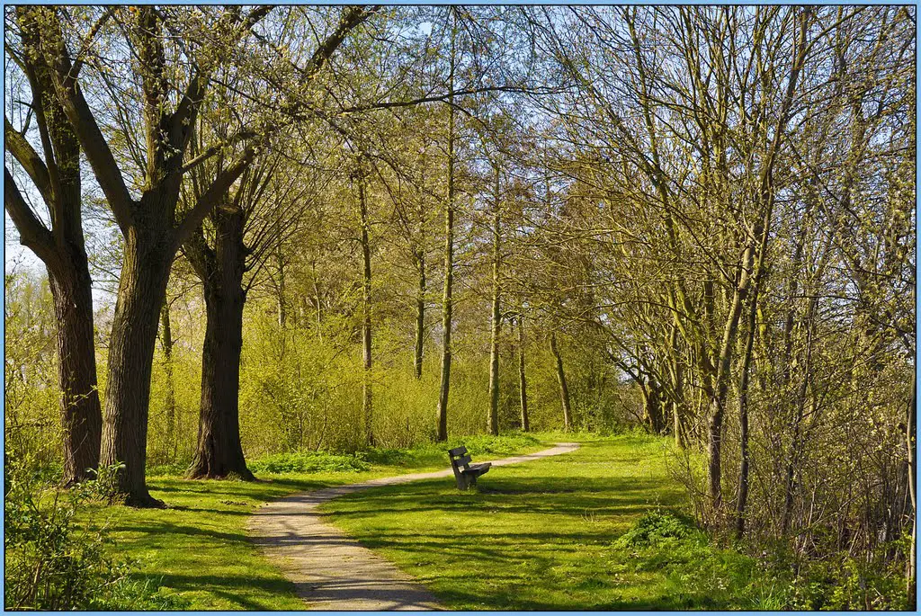 Westmaas - Nice walking path