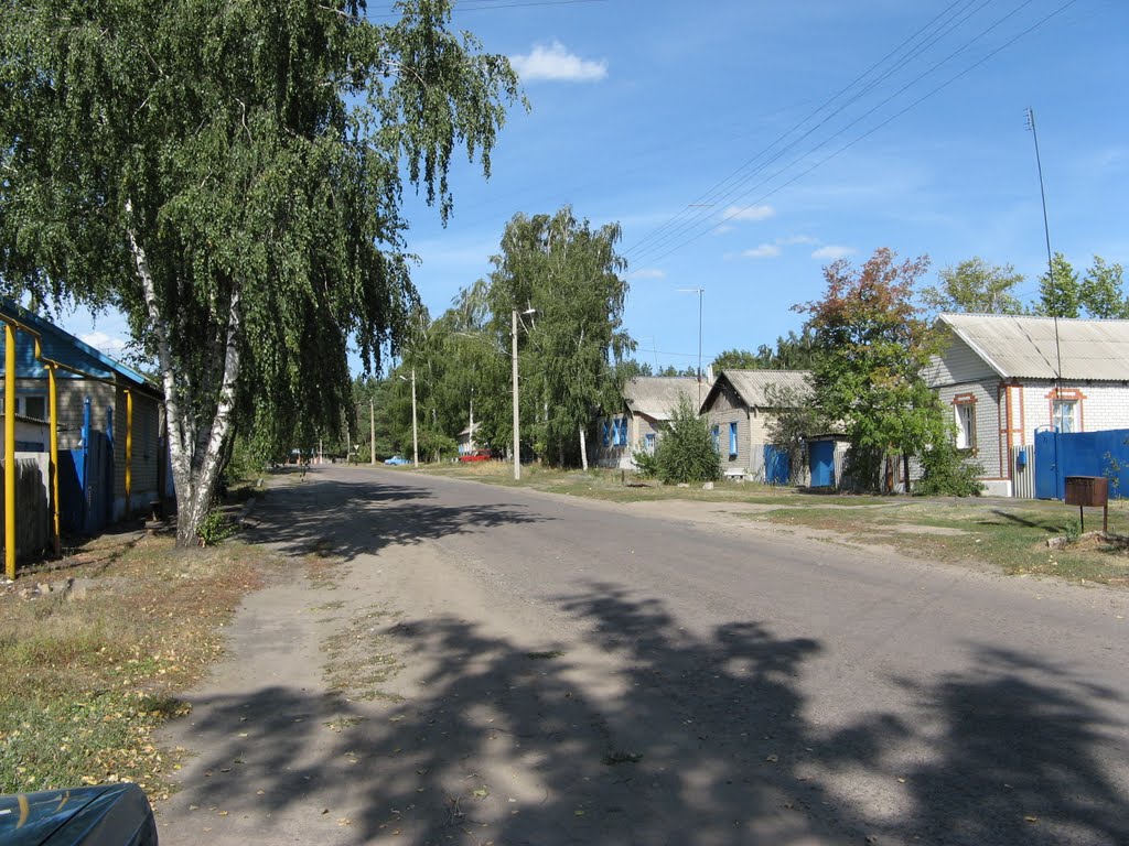 Фото Улица Деревня