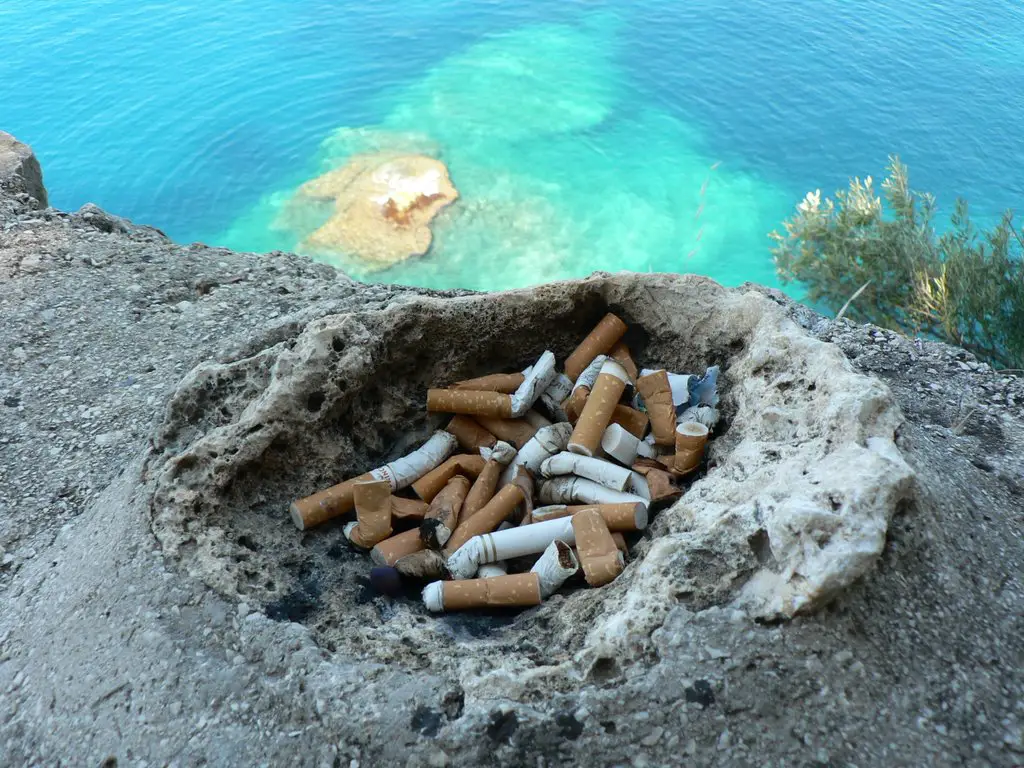 Natural ashtray