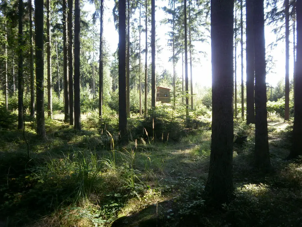 Struhařovský les - posed