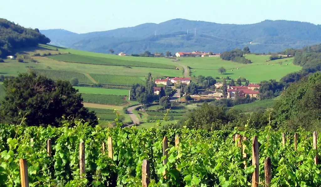 Verzé, vue du hameau "Les Tardys"