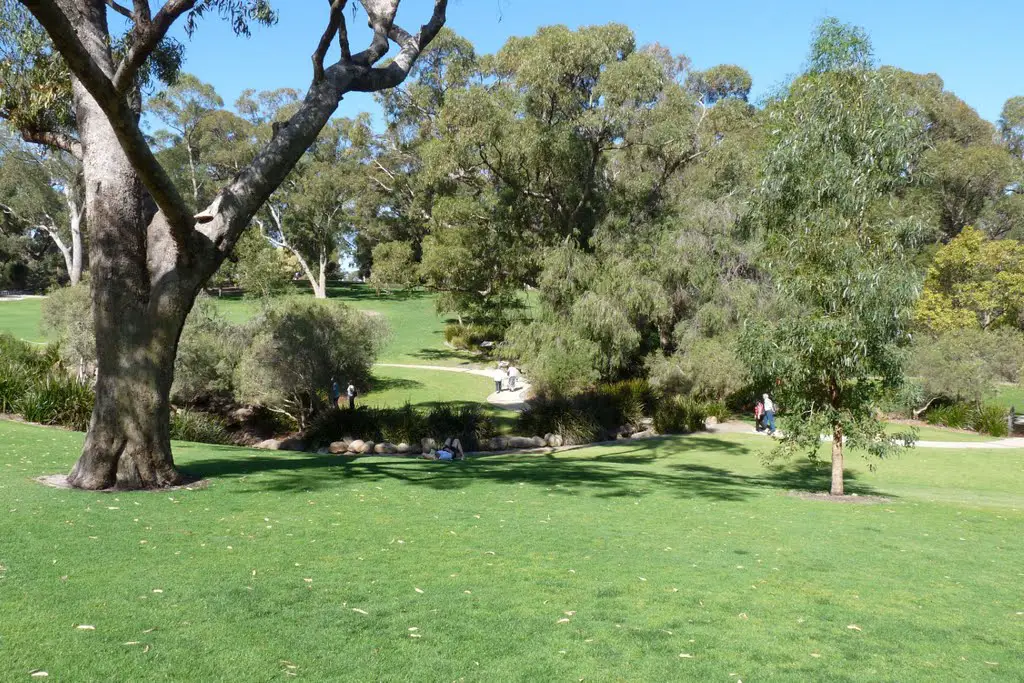 Grounds of Kings Park