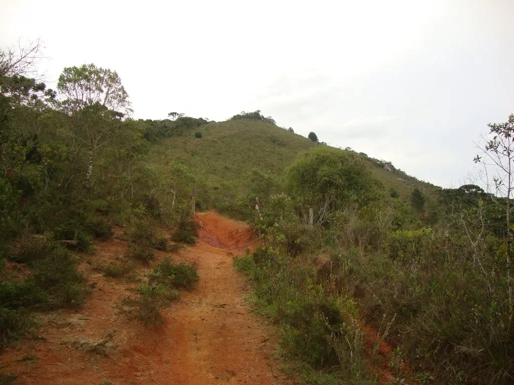 Trecho da Estr. do Pico do Imbiri mostrando ao alto o Pico do Imbiri
