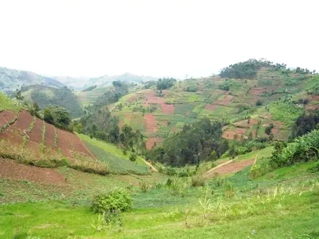 countryside in Kivuruga sector, Northern Rwanda, 2010