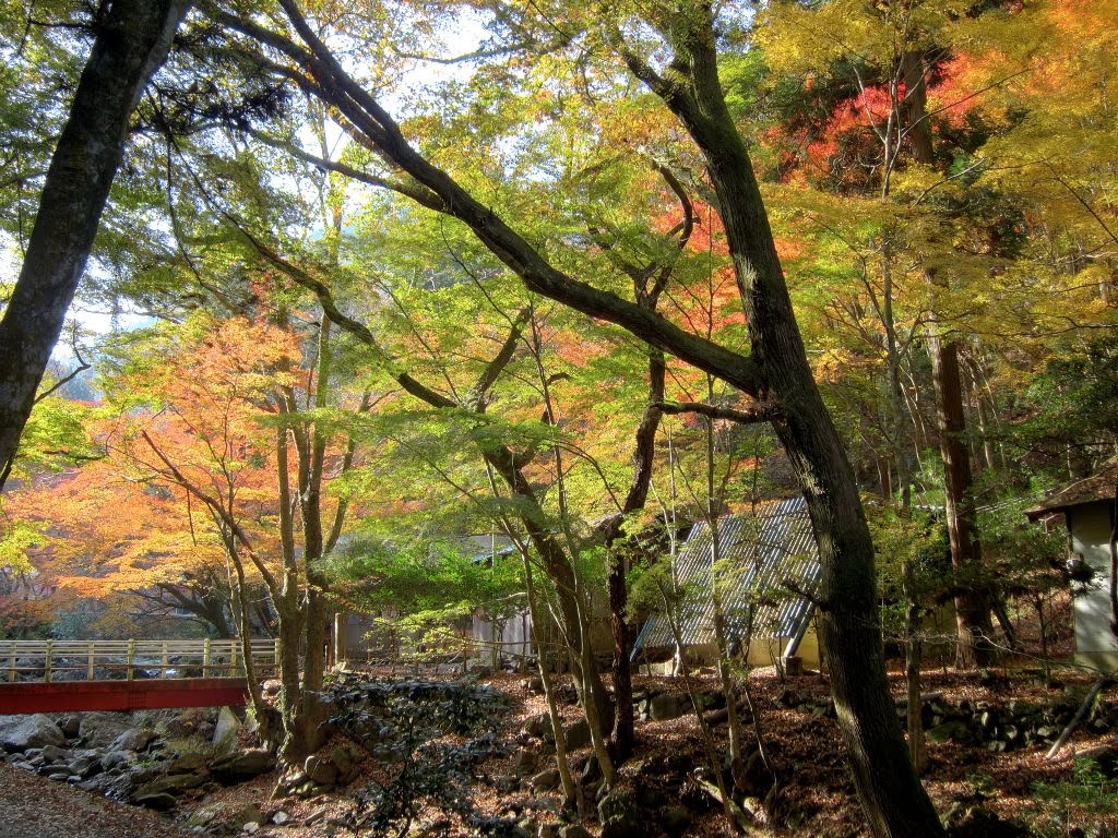 くらがり渓谷の紅葉 Autumn Leaves In Kuragari Gorge Aichi Japan Mapio Net