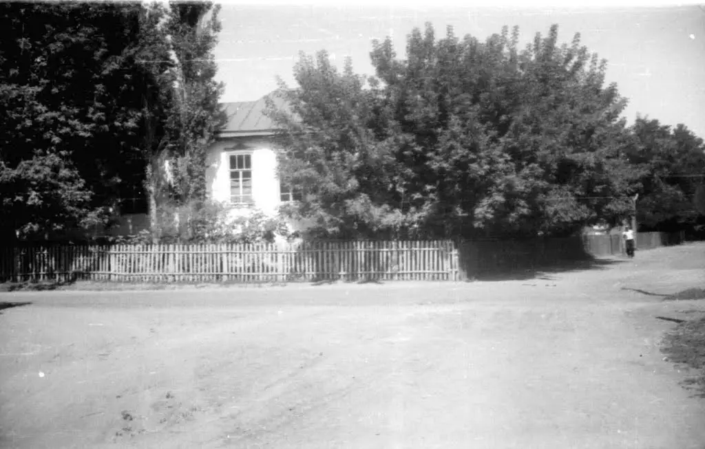 Школа 1950 Фото