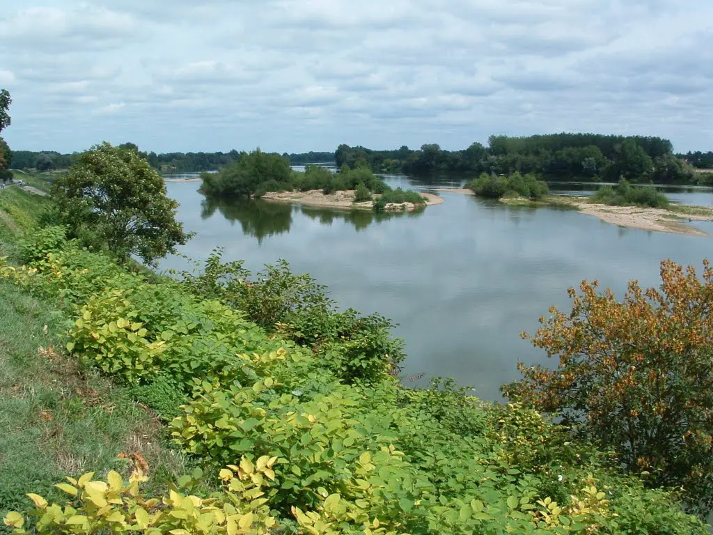 La Loire et ses îles