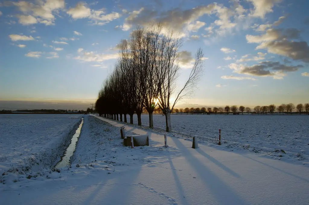 Snowy path at the Brede Molenweg near Hoeven, Netherlands