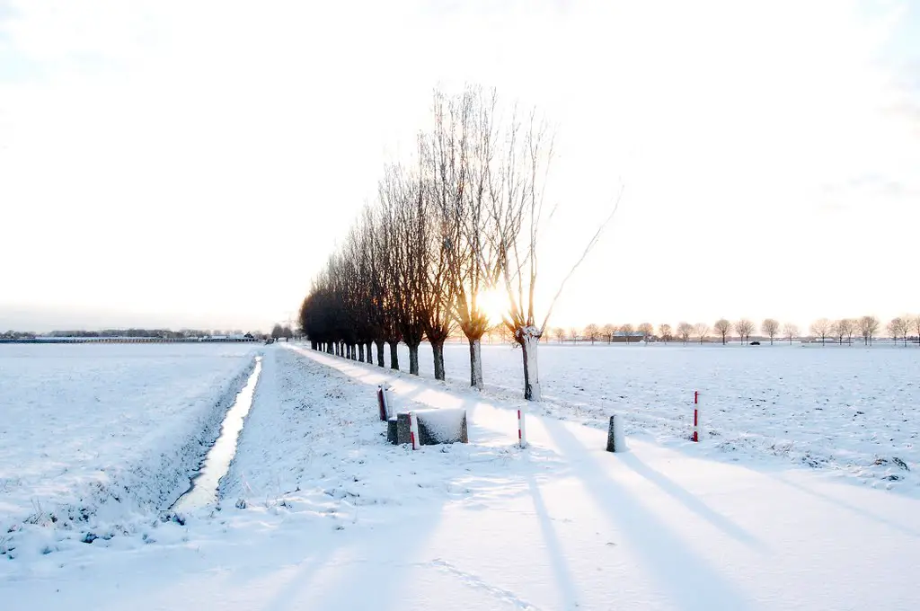 Snow at the Brede Molenweg near Hoeven, Netherlands
