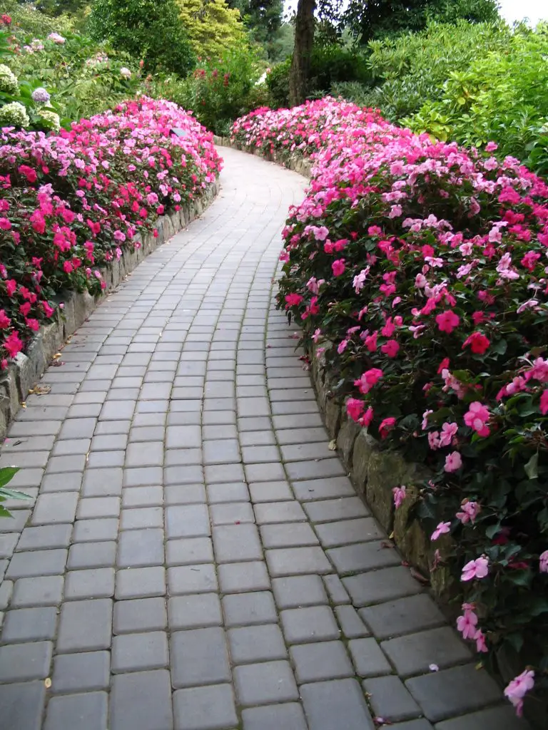 Butchart Gardens - Flower Path