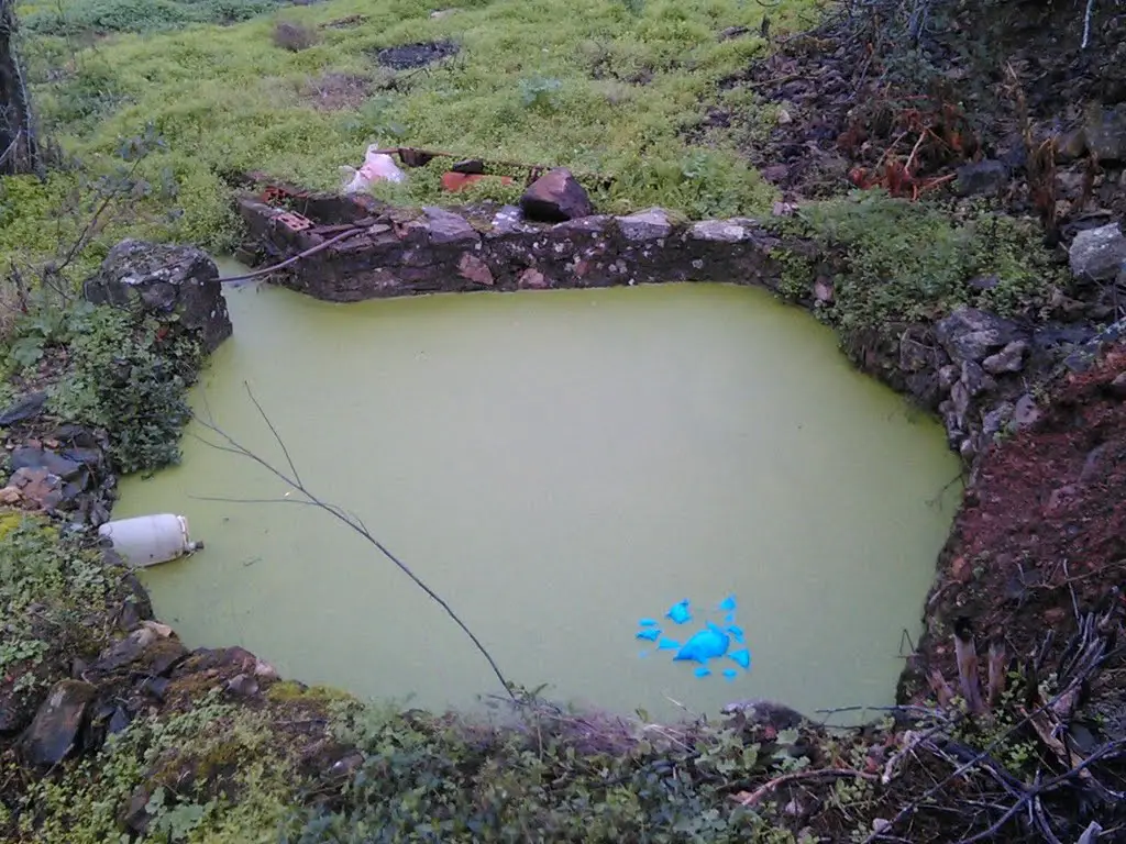 pozo con agua de color verde