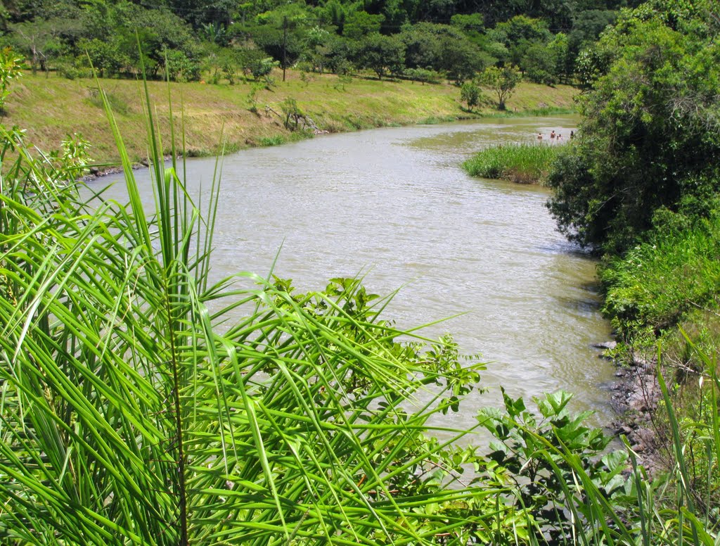 Rio Juquery, entre as represas Sete Quedas e Paiva Castro (Sistema ...