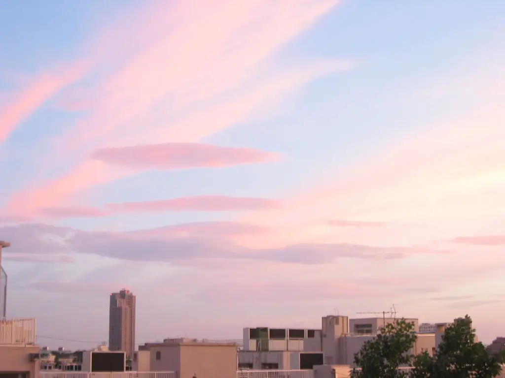 Pink Sky 見事なピンク色に染まった夕焼け Mapio Net