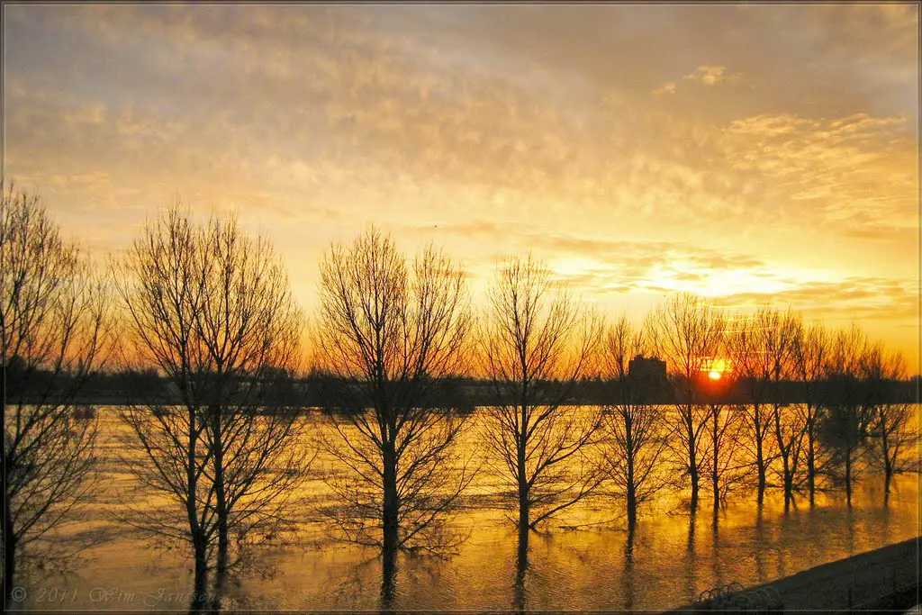 Here comes the flood - Sunrise on the river Maas, Venlo, The Netherlands