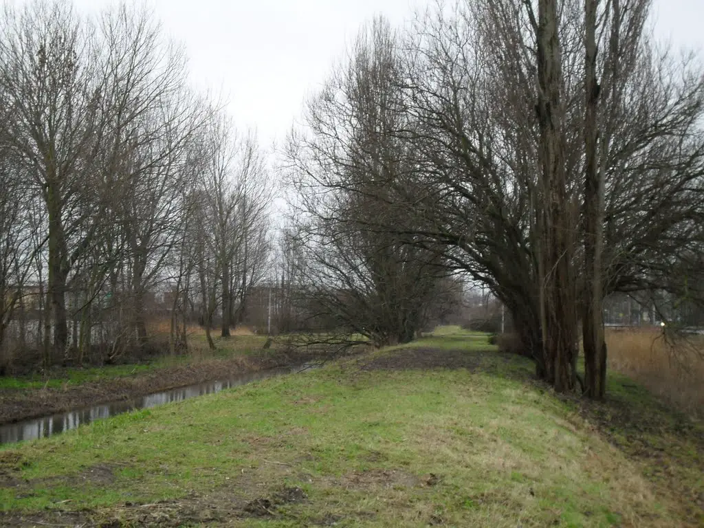 Oude spoordijk (jan. 2011)