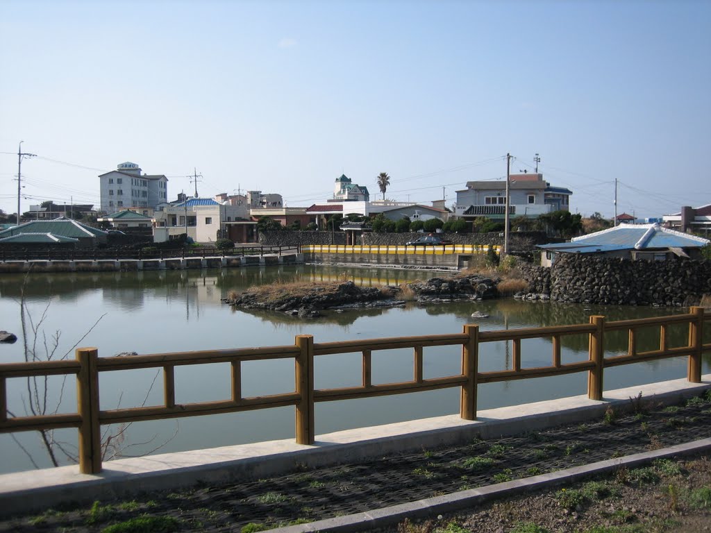 마이못01 馬耳潭 汽水域 Brackish Water Zone Pond Jeju Island In Korea Mapio Net