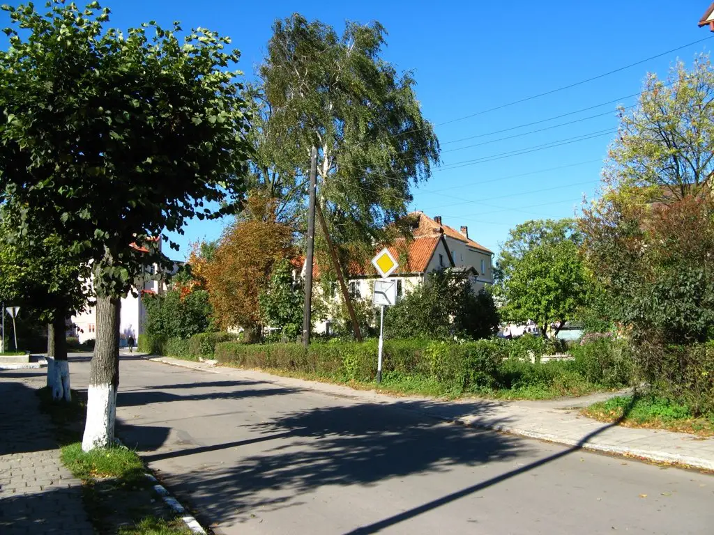 Улицы Зеленоградска Фото