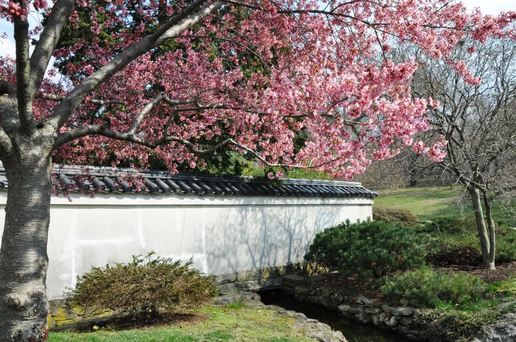 Shofuso Japanese House Garden Mapio Net