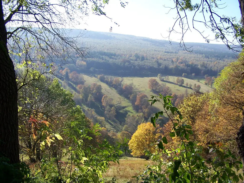 Podzim 2010 v Krušných horách