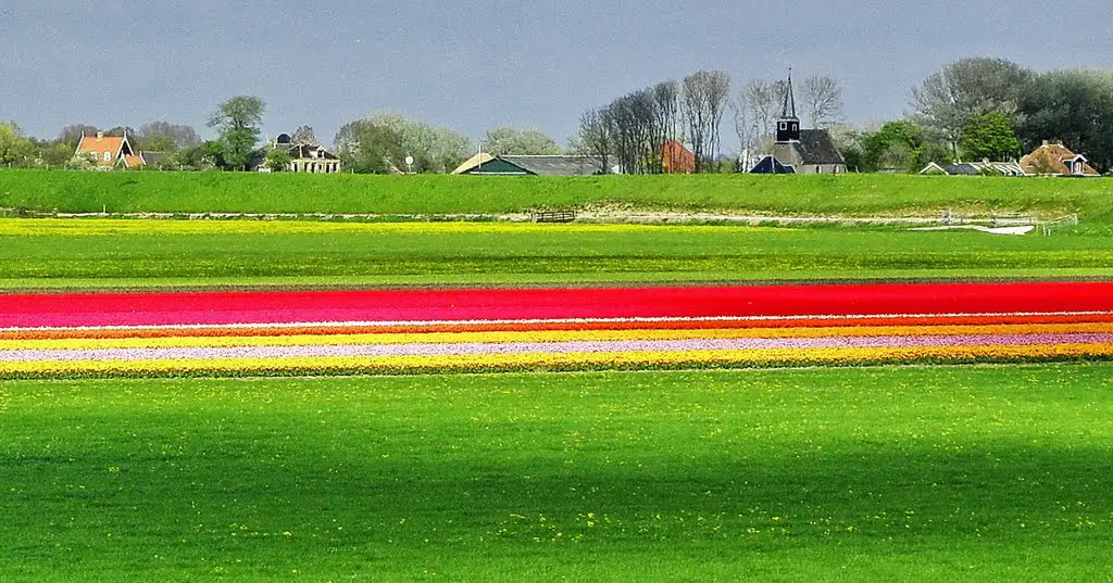De West-Friese Omringdijk met daarachter Het dorpje Eenigenburg