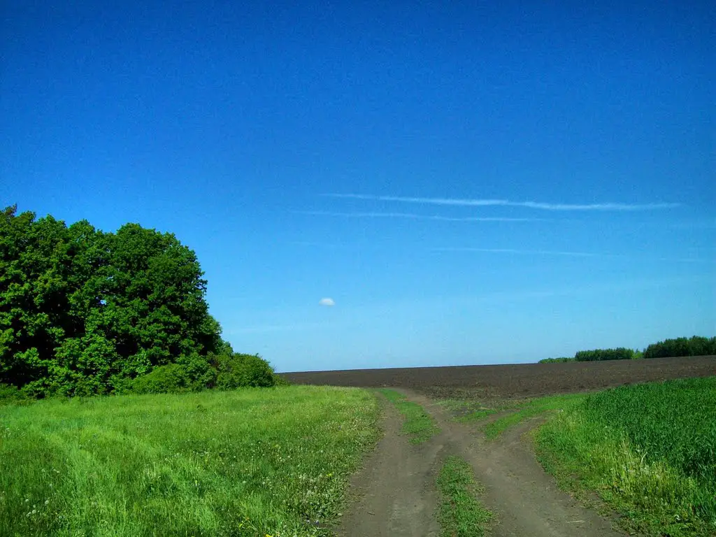 Облачко над полем май 2011г.