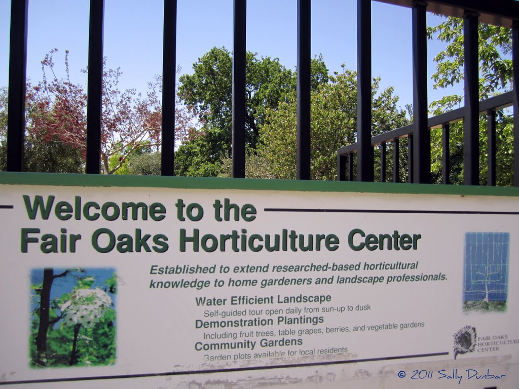 Fair Oaks Horticulture Center A Great Place To Find Out What To