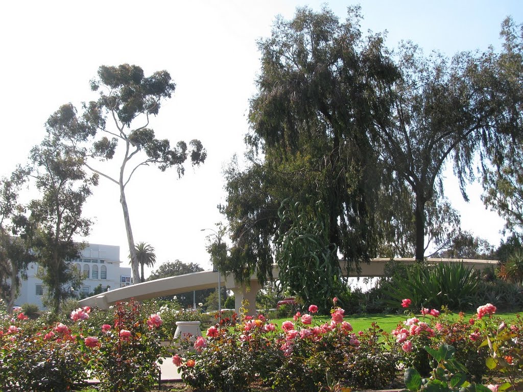Rose Garden Balboa Park San Diego Ca Mapio Net