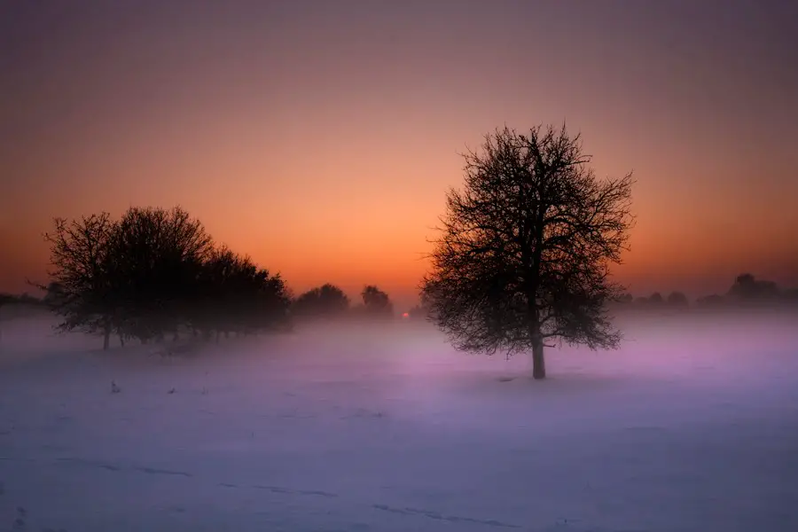 Winter in Venlo (The Netherlands)