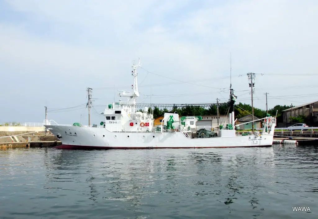 富山県漁業指導調査船「立山丸」（156トン、1000馬力）　富山湾に面した滑川漁港