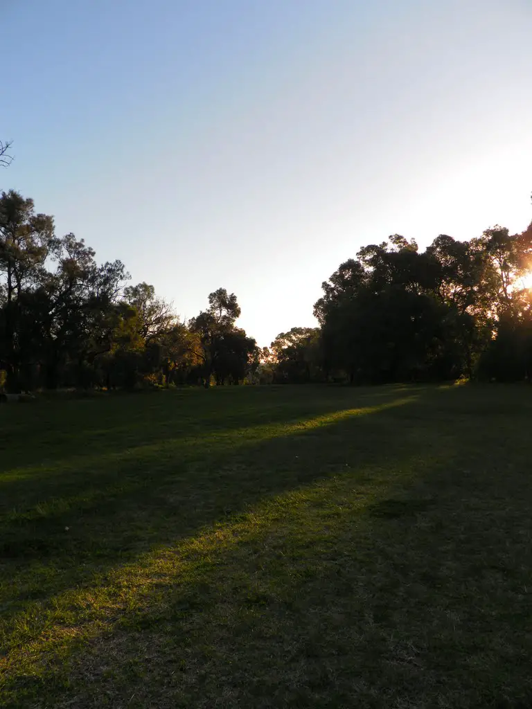 A view down that long grassy path in Kings Park