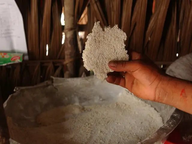 Beju de farinha de mandioca por mais de 10.000 anos é o principal ...