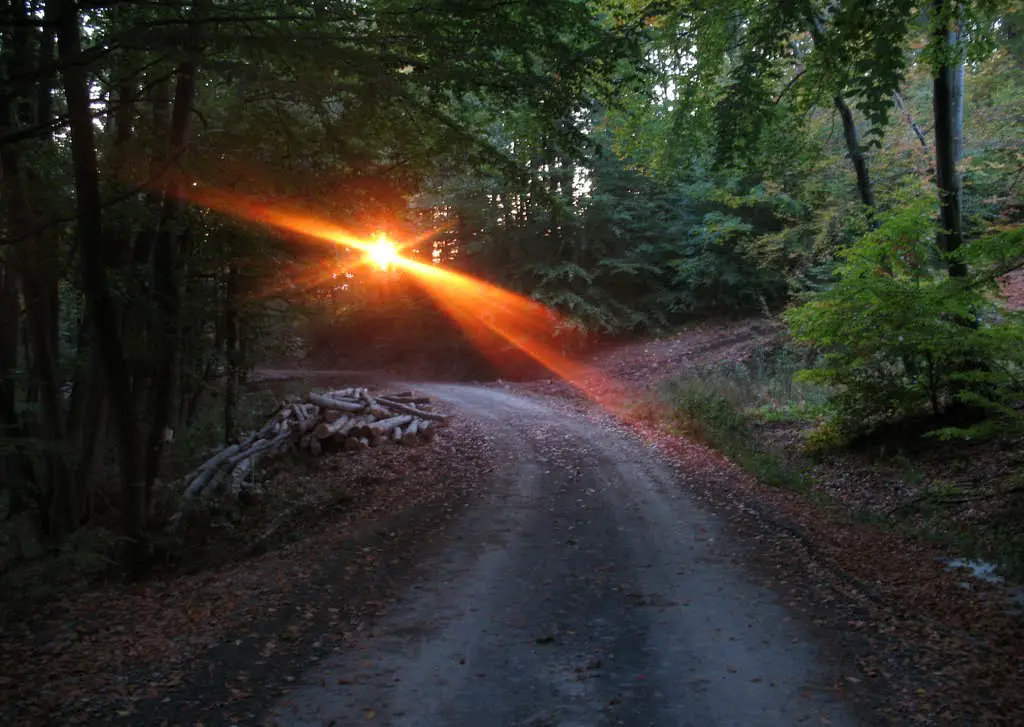 vychádzajúce slnko v lese (18.10.2011)