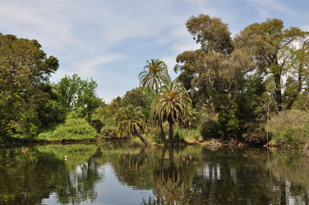 Spring On Long Island Melbourne Botanical Gardens Mapio Net